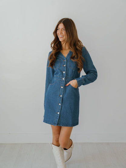 Simone Denim Dress - FINAL SALE